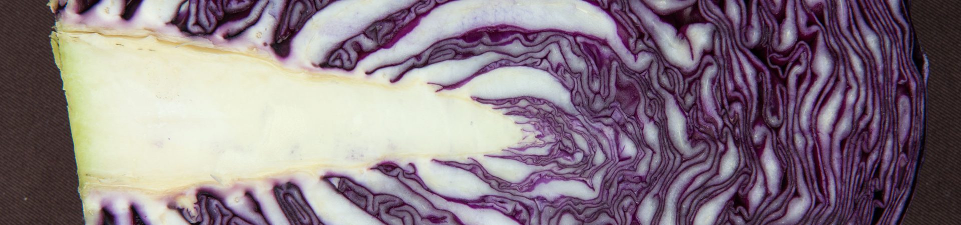 Zwei Rezepte für Rotkohl oder Rotkraut – Rotkrautgemüse und Rotkrautsalat