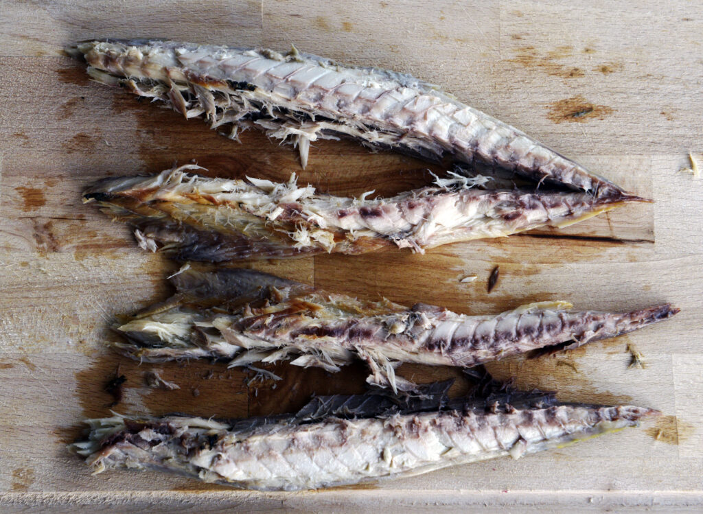 Makrelen Filets